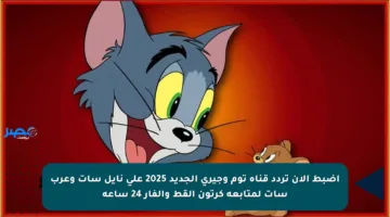 اضبط الآن تردد قناة توم وجيري الجديد 2025 على نايل سات وعرب سات لمتابعة كرتون القط والفار 24 ساعة